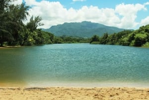 Carabalí Rainforest Park: Rainforest Horseback Riding Tour