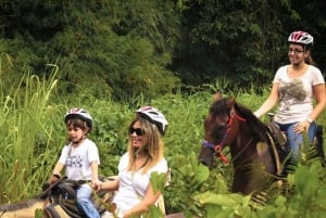 Carabalí Rainforest Park: Rainforest Horseback Riding Tour