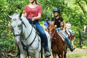Carabalí Rainforest Park: Rainforest Horseback Riding Tour
