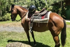 Carabalí Rainforest Park: Rainforest Horseback Riding Tour