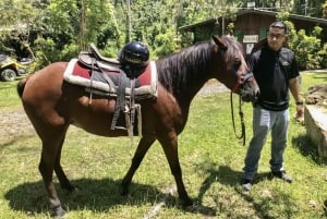 Carabalí Rainforest Park: Rainforest Horseback Riding Tour