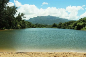 Carabalí Rainforest Park: Rainforest Horseback Riding Tour