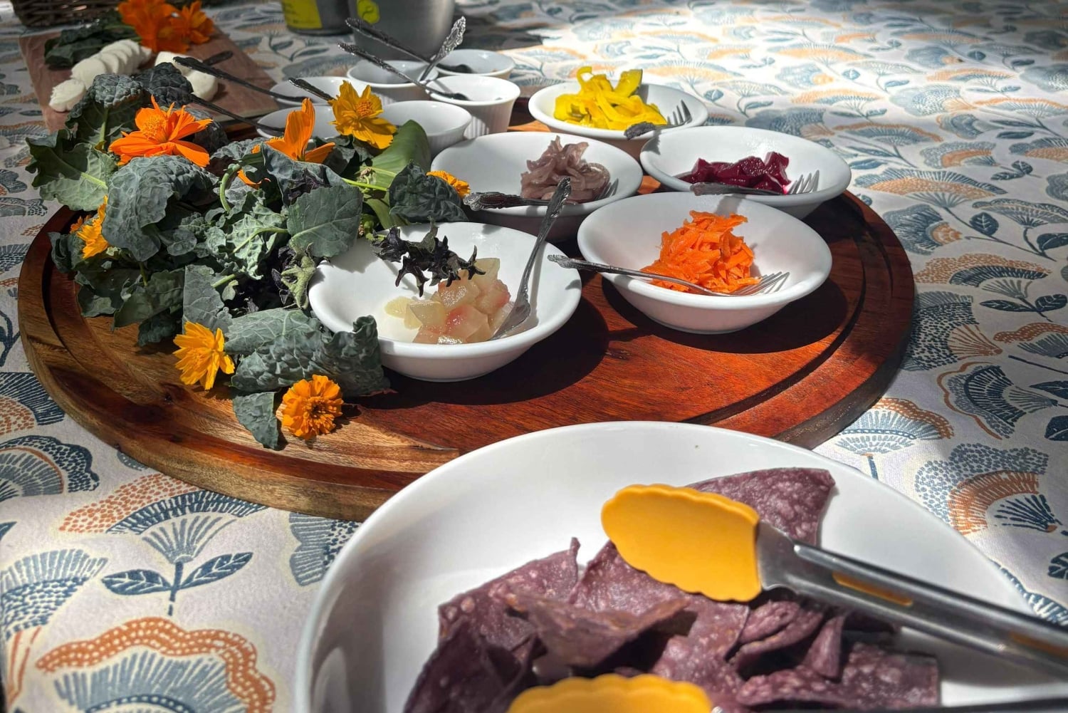 Carolina: degustacja z lunch i dojenie kóz