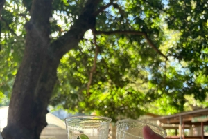 Carolina: degustacja z lunch i dojenie kóz