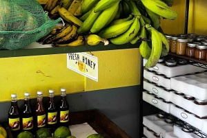 Carolina: degustacja z lunch i dojenie kóz