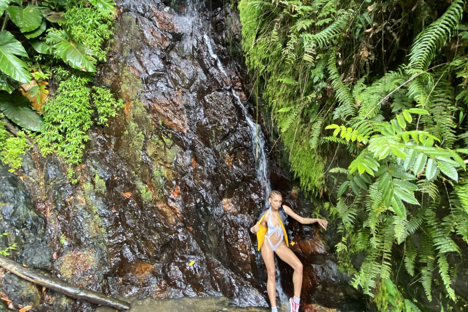 From San Juan: El Yunque Rainforest and Waterslide Tour