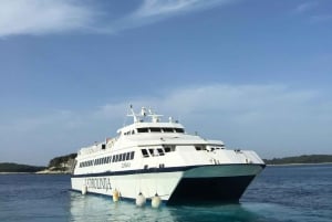 Ceiba Ferry Terminal: Private Transfer to San Juan