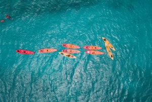 Ceiba, PR: Culebra Snorkel Tour with Ferry Tickets