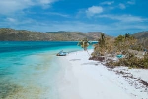 Ceiba, PR: Culebra Snorkel Tour with Ferry Tickets