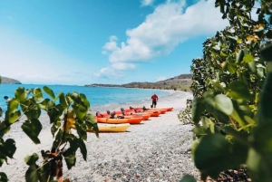 Ceiba, PR: Culebra Snorkel Tour with Ferry Tickets