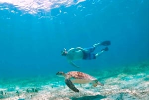 Ceiba, PR: Culebra Snorkel Tour with Ferry Tickets