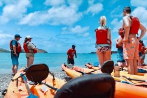 Ceiba, PR: Culebra Snorkel Tour with Ferry Tickets