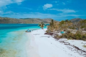 Ceiba, PR: Culebra Snorkel Tour with Ferry Tickets