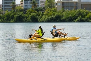 Condado: noleggio di bici acquatiche per 1 ora