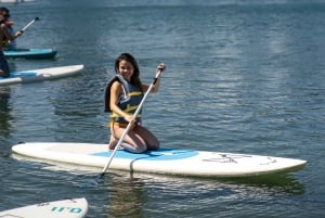 Condado: Aluguel de paddleboard
