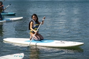 コンダド：パドルボードレンタル