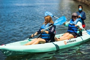 Condado: noleggio di un kayak singolo