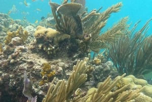 Culebra: Beach and Snorkel Tour