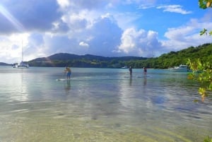 Culebra: Paddle Board Tour