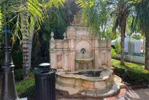 Old San Juan: Walking Tour with Shopping and Hotel Transfer