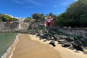 Old San Juan: excursão a pé com compras e traslado do hotel