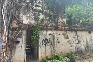 Old San Juan: Wandeltour met winkelen en hoteltransfer