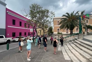 Old San Juan: Rundgang mit Shopping und Hoteltransfer