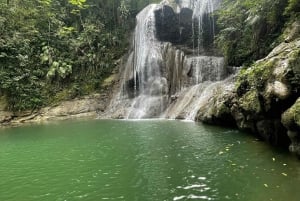 PUERTO RICO: Custom Hiking Tours with Transportation!!