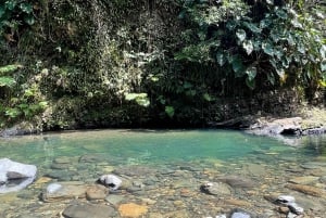 PUERTO RICO: Custom Hiking Tours with Transportation!!