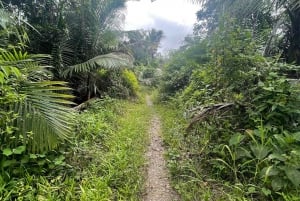 PUERTO RICO: Custom Hiking Tours with Transportation!!