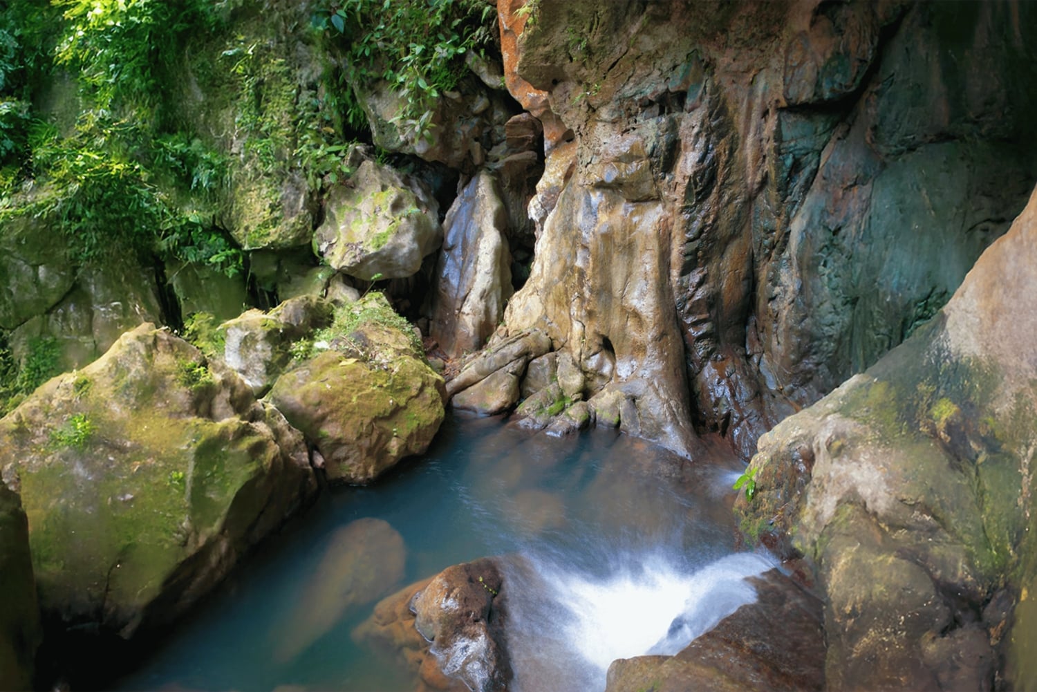 Upptäck ett dolt paradis och lär dig om växter