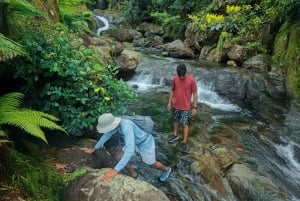 Upptäck ett dolt paradis och lär dig om växter