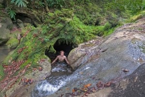 Upptäck ett dolt paradis och lär dig om växter