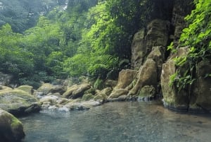 Upptäck ett dolt paradis och lär dig om växter