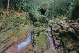 Upptäck ett dolt paradis och lär dig om växter