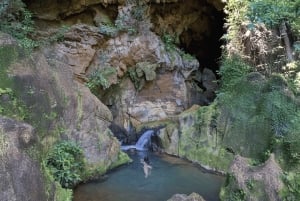 Upptäck ett dolt paradis och lär dig om växter