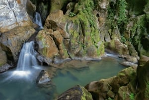 Upptäck ett dolt paradis och lär dig om växter