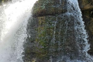 Entdecke die Arecibo-Indianerhöhlenbögen, den Strand und den Tanamá-Wasserfall