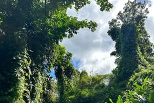 From San Juan: East El Yunque Hidden Rainforest Waterpark