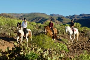 El Salobre: Horse Riding Adventure with Transfer Options