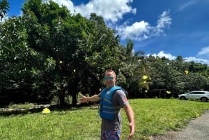 Experiência exclusiva em El Yunque: escorregas e cascatas