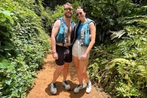 Experiência exclusiva em El Yunque: escorregas e cascatas