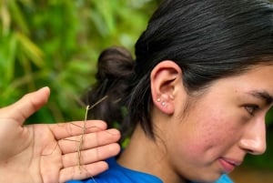 Experiência exclusiva em El Yunque: escorregas e cascatas