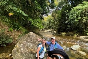 Experiência exclusiva em El Yunque: escorregas e cascatas