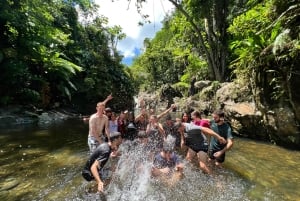 Experiência exclusiva em El Yunque: escorregas e cascatas