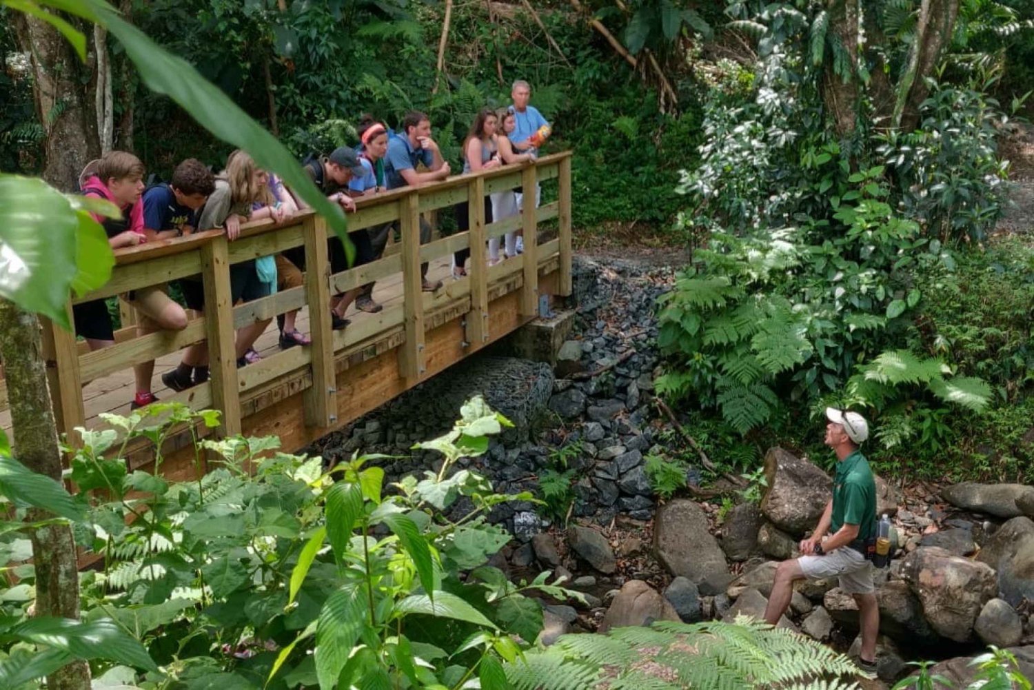 Bosque El Yunque: Paseo Nocturno por la Naturaleza in Puerto Rico