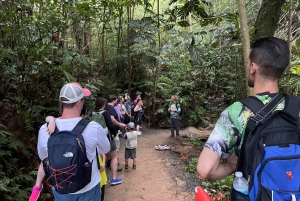 El Yunque Forest: Rainforest Nature Walk at Night Tour