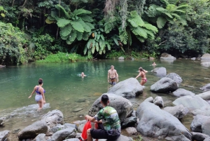 El Yunque Forest: Rainforest Nature Walk at Night Tour