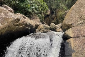 El Yunque: Excursión a una cascada escondida fuera del camino con transporte
