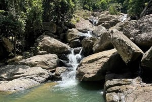El Yunque: wędrówka z transportem poza szlakiem wodospadów